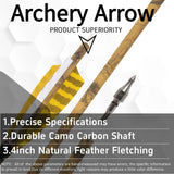 12 PCS 30-inch Archery Carbon Arrows
