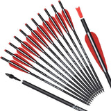 12pcs Crossbow Bolts
