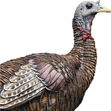 Turkey Decoy, Durable, Realistic, Lifelike, Collapsible