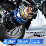 Folding Electric Bicycle