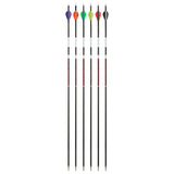 12pcs Pure Carbon Arrow 300/400/500