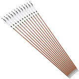 Pure Carbon Hunting Arrows