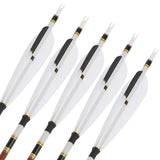 Pure Carbon Hunting Arrows