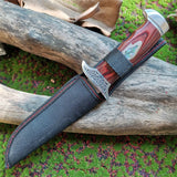 Fixed Blade Knife with Wood Handle