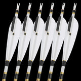 Pure Carbon Arrows, 12 pcs, 31 Inch Spine
