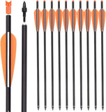 Crossbow Bolts