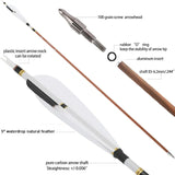 Pure Carbon Arrows, 12 pcs, 31 Inch Spine
