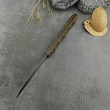 Fixed Blade Tactical Knife D2 Steel Blade