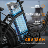 URLIFE 1000W E20 Electric Bike