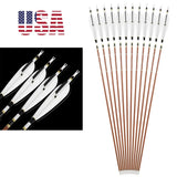 Pure Carbon Hunting Arrows