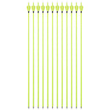 Archery Carbon Arrows, 12 pcs, 30 Inch Spine