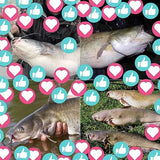 Catfishing-Tackle-Floats-with-Rattler