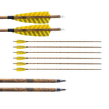 12pcs Archery Mixed Carbon Arrows 31.5 Inch Turkey Feathers