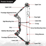 Archery Compound Bow