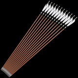 Pure Carbon Arrows, 12 pcs, 31 Inch Spine