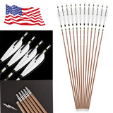 31 Inch Pure Carbon Arrows