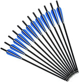 Crossbow Bolts