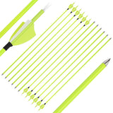 Archery Carbon Arrows, 12 pcs, 30 Inch Spine