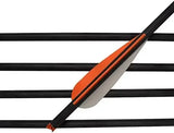 16/18/20/22 inch Crossbow Bolts