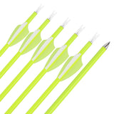 Archery Carbon Arrows, 12 pcs, 30 Inch Spine