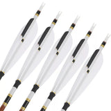 Pure Carbon Hunting Arrows