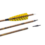 12pcs Archery Mixed Carbon Arrows 31.5 Inch Turkey Feathers