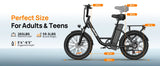 URLIFE 1000W E20 Electric Bike