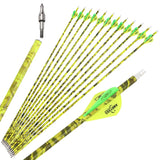 Carbon Arrows 30 Inch Spine