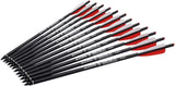 12pcs Crossbow Bolts