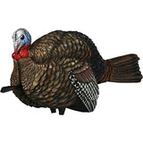 Turkey Decoy
