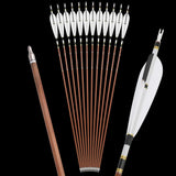 Pure Carbon Arrows, 12 pcs, 31 Inch Spine