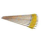 12pcs Archery Mixed Carbon Arrows 31.5 Inch Turkey Feathers
