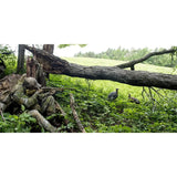 Turkey Decoy, Durable, Realistic, Lifelike, Collapsible