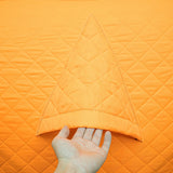 Ice Fishing Tent