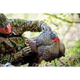 Turkey Decoy