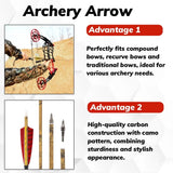 12 PCS 30-inch Archery Carbon Arrows