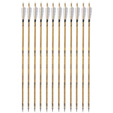 12 PCS 30-inch Archery Carbon Arrows