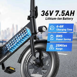 Folding Electric Bicycle