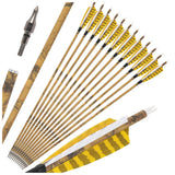 12 PCS 30-inch Archery Carbon Arrows