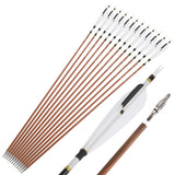 Pure Carbon Arrows, 12 pcs, 31 Inch Spine
