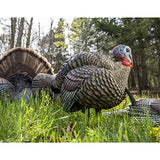 Turkey Decoy