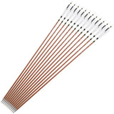 Pure Carbon Hunting Arrows