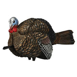 Turkey Decoy