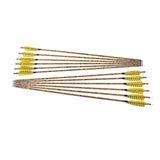 12 PCS 30-inch Archery Carbon Arrows