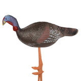 Practice Bow Target 3D Target Turkey High Density Self Healing Foam Animal for Archery Accessories Hunting Equipment Training