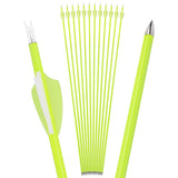 Archery Carbon Arrows, 12 pcs, 30 Inch Spine