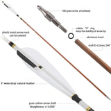 31 Inch Pure Carbon Arrows