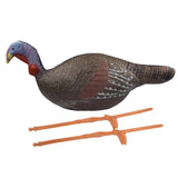 Practice Bow Target 3D Target Turkey High Density Self Healing Foam Animal for Archery Accessories Hunting Equipment Training