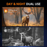 Night Vision Binoculars