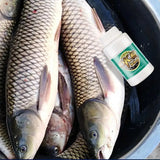 Fish Attractant Black Pits Seaweed Fishing Lure